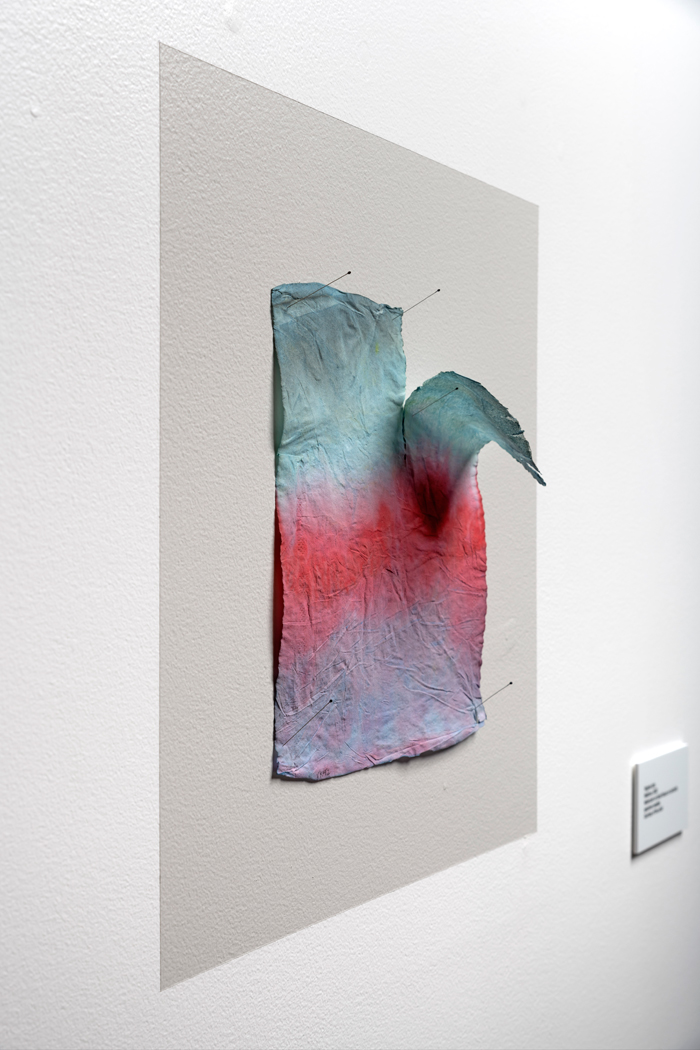 ExhibitionViews