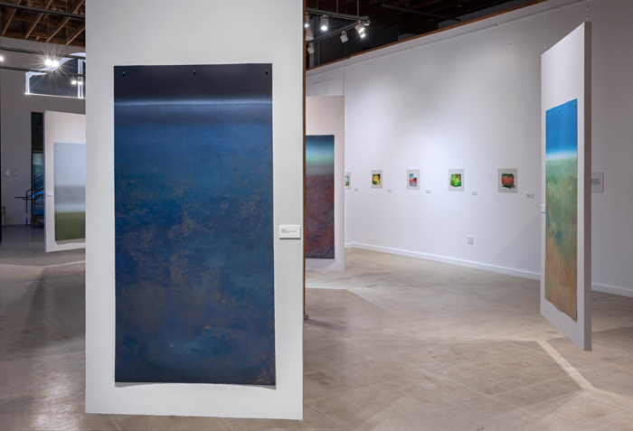 ExhibitionViews